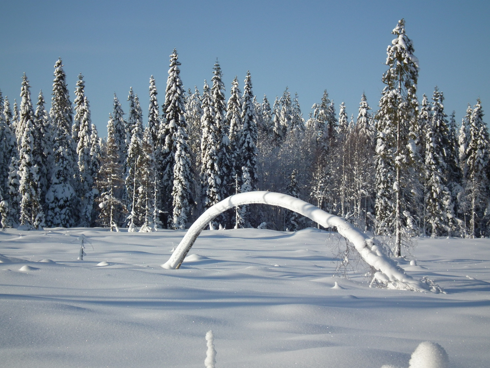 Karelian winter